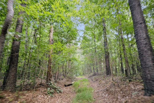 9971 Birdsong Rd, Holladay, TN 38341
