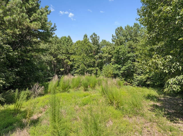 9971 Birdsong Rd, Holladay, TN 38341