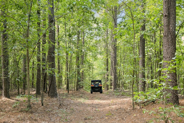 9971 Birdsong Rd, Holladay, TN 38341
