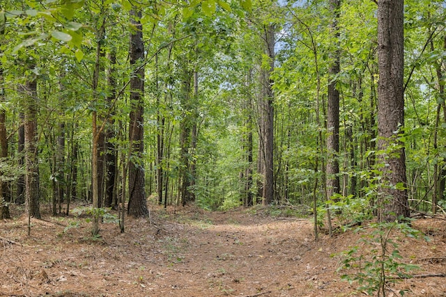 9971 Birdsong Rd, Holladay, TN 38341