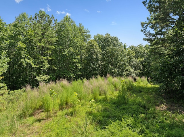9971 Birdsong Rd, Holladay, TN 38341