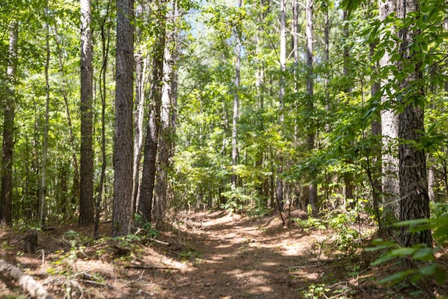 9971 Birdsong Rd, Holladay, TN 38341