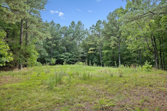 9971 Birdsong Rd, Holladay, TN 38341
