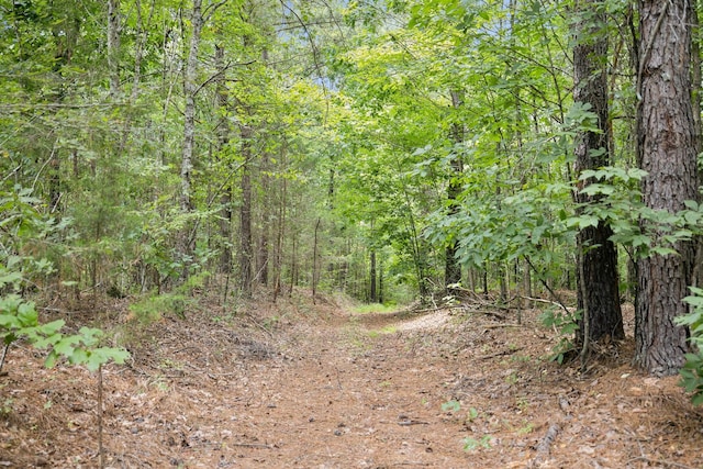 9971 Birdsong Rd, Holladay, TN 38341