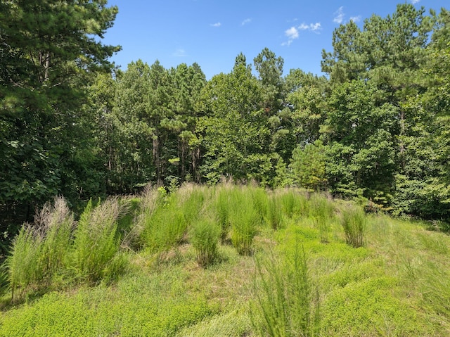 9971 Birdsong Rd, Holladay, TN 38341