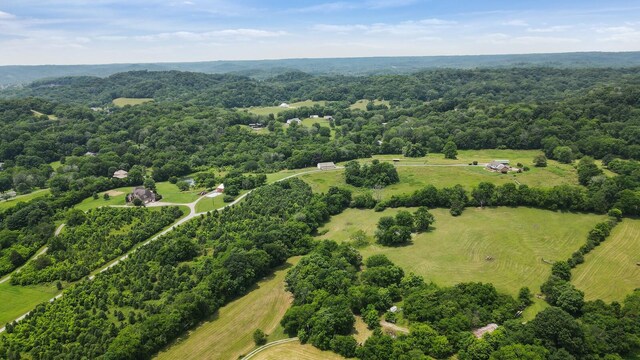 1361 Madison Creek Rd, Goodlettsville, TN 37072 - drone / aerial view of a forest