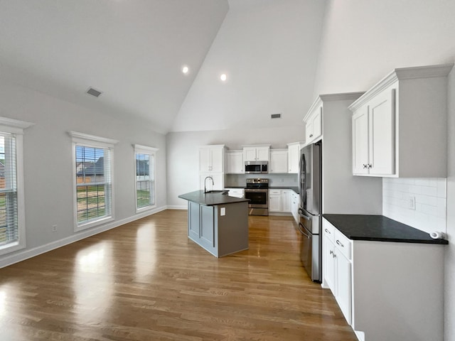 1117 Bandini Ct, Lascassas, TN 37085 - kitchen with stainless steel appliances, high vaulted ceiling, a sink, dark countertops, and plenty of natural light