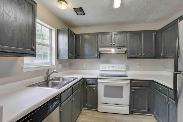 kitchen with appliances with stainless steel finishes, under cabinet range hood, a sink, light wood-type flooring, and light countertops