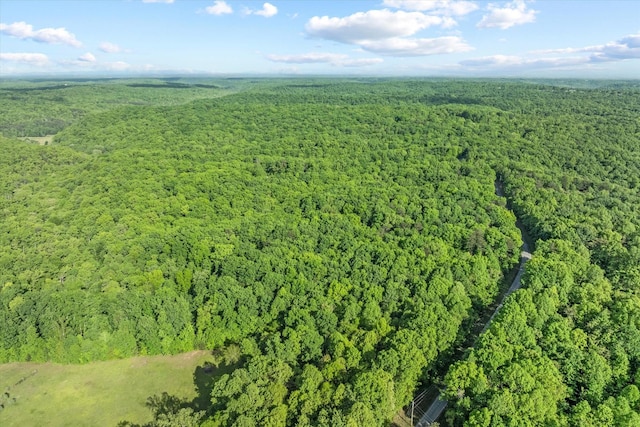 483 Honey Springs Rd, Crawford, TN 38554 - photo 1