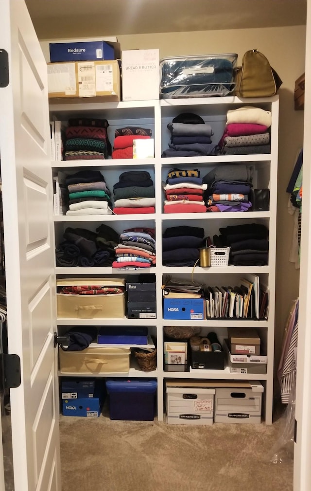 501 Wright Branch Cv, Hermitage, TN 37076 - view of closet