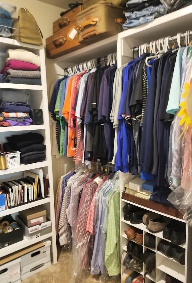 501 Wright Branch Cv, Hermitage, TN 37076 - view of spacious closet
