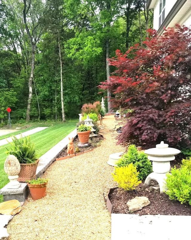 501 Wright Branch Cv, Hermitage, TN 37076 - view of yard