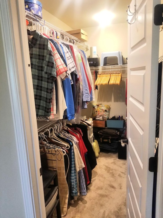 501 Wright Branch Cv, Hermitage, TN 37076 - spacious closet with carpet