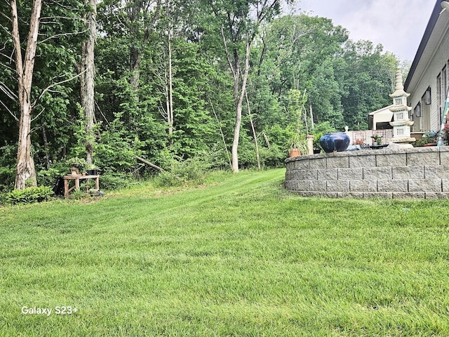 501 Wright Branch Cv, Hermitage, TN 37076 - view of green lawn