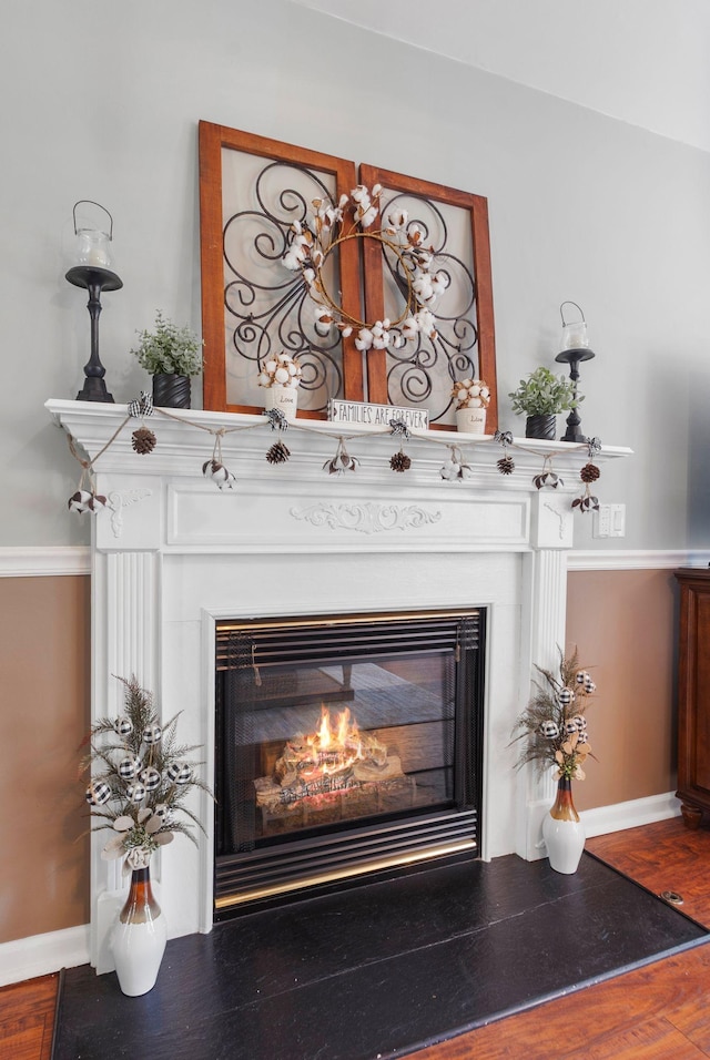 detailed view of a glass covered fireplace, baseboards, and wood finished floors