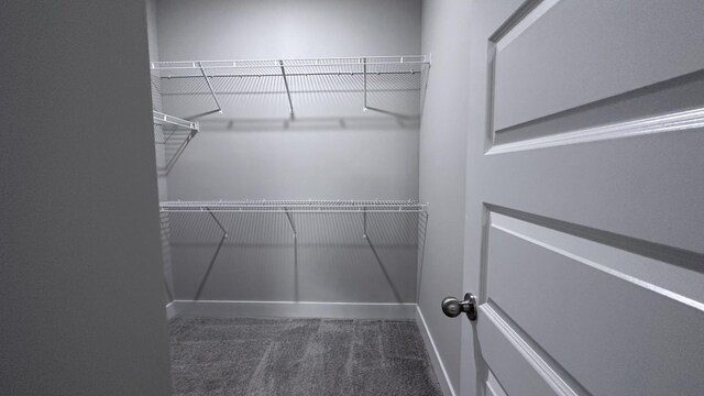 3522 Firerock Dr, Murfreesboro, TN 37128 - spacious closet featuring carpet