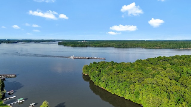 378 Roy Harris Rd, Kuttawa, KY 42055 - water view with a heavily wooded area
