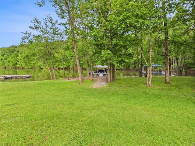 378 Roy Harris Rd, Kuttawa, KY 42055 - view of grassy yard with a water view
