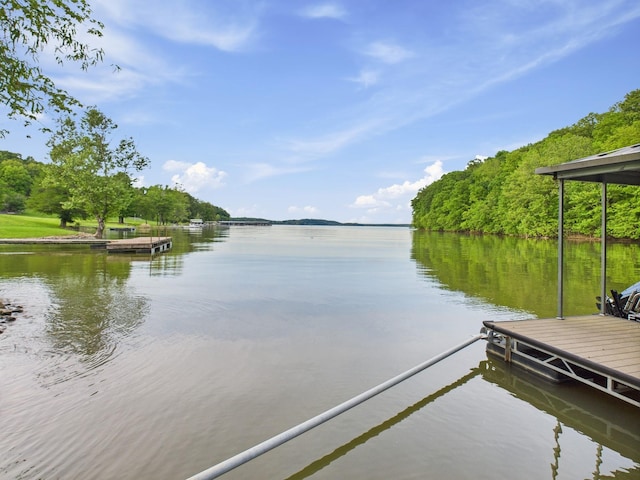 378 Roy Harris Rd, Kuttawa, KY 42055 - dock with a water view