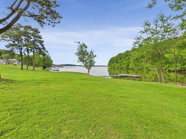 378 Roy Harris Rd, Kuttawa, KY 42055 - view of grassy yard featuring a water view