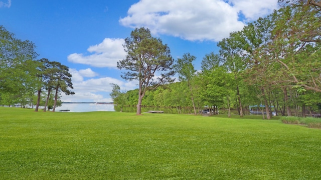378 Roy Harris Rd, Kuttawa, KY 42055 - view of grassy yard with a water view
