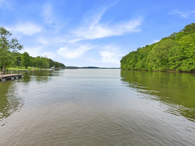 378 Roy Harris Rd, Kuttawa, KY 42055 - water view with a heavily wooded area