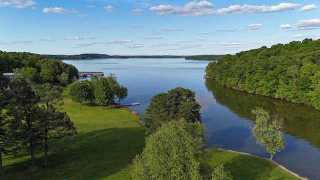 378 Roy Harris Rd, Kuttawa, KY 42055 - water view featuring a heavily wooded area