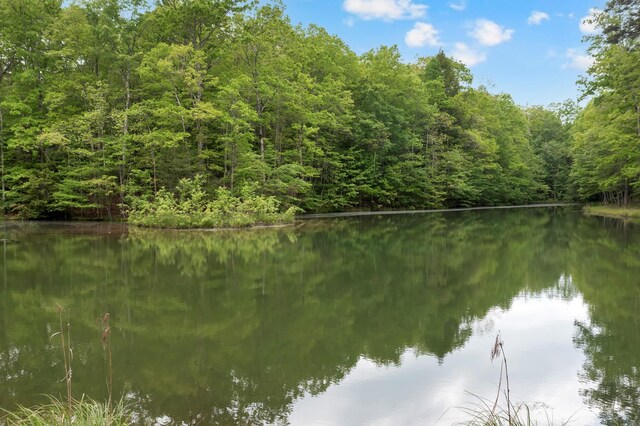 0 Savage Highland Dr, Coalmont, TN 37313