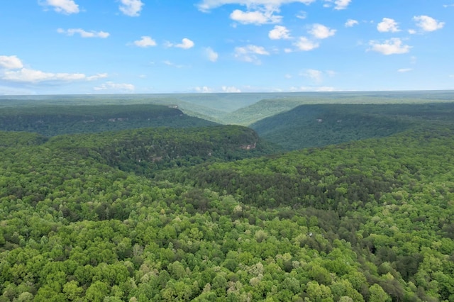 0 Savage Highland Dr, Coalmont, TN 37313