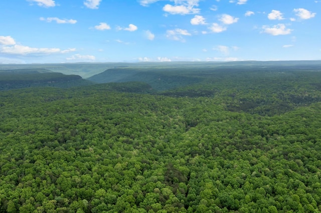 0 Savage Highland Dr, Coalmont, TN 37313