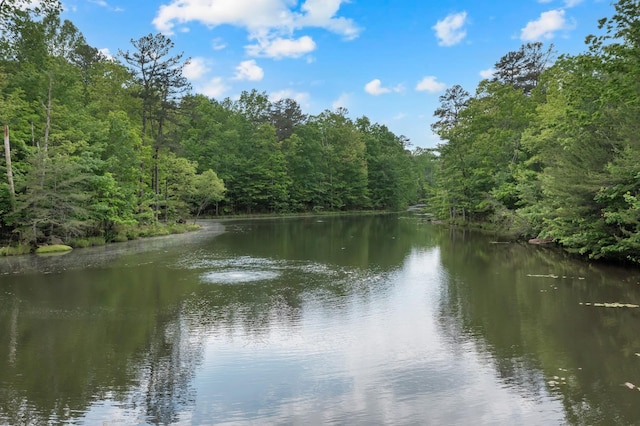 0 Savage Highland Dr, Coalmont, TN 37313