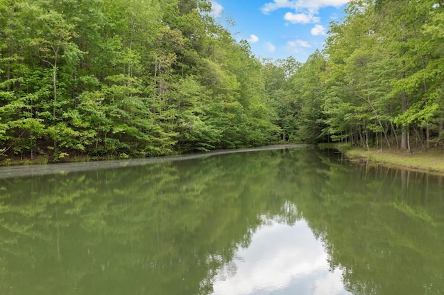 0 Savage Highland Dr, Coalmont, TN 37313