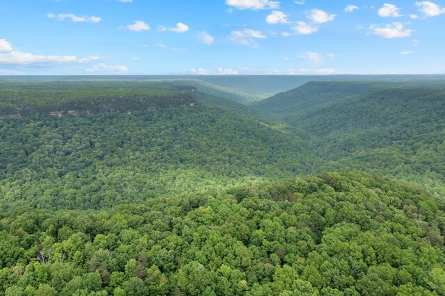 0 Savage Highland Dr, Coalmont, TN 37313