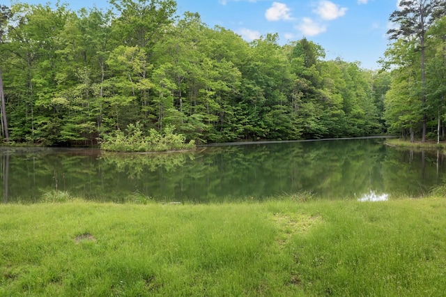 0 Savage Highland Dr, Coalmont, TN 37313