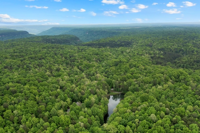 0 Savage Highland Dr, Coalmont, TN 37313