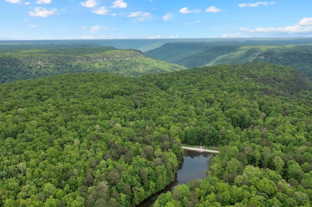 0 Savage Highland Dr, Coalmont, TN 37313