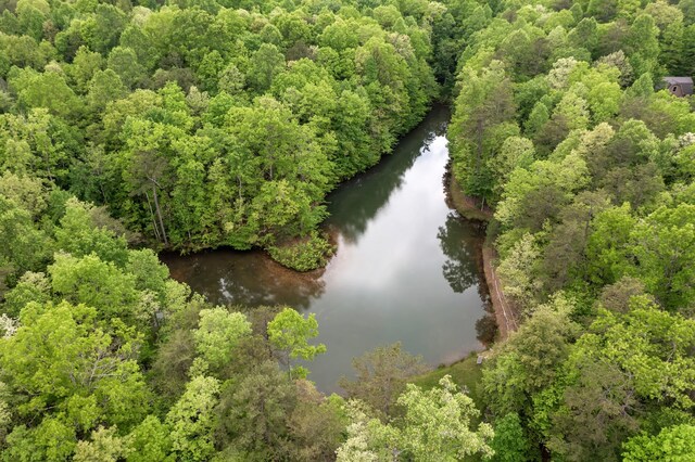 0 Savage Highland Dr, Coalmont, TN 37313