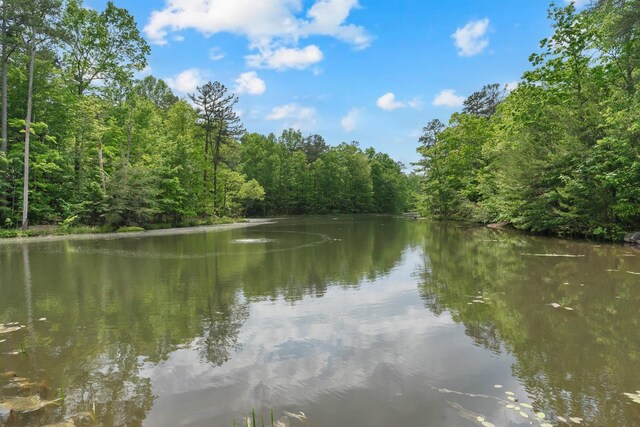 0 Savage Highland Dr, Coalmont, TN 37313