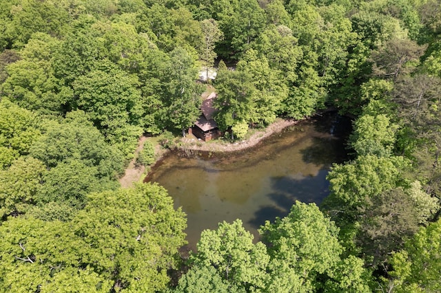 0 Savage Highland Dr, Coalmont, TN 37313