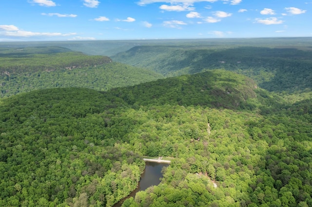 0 Savage Highland Dr, Coalmont, TN 37313