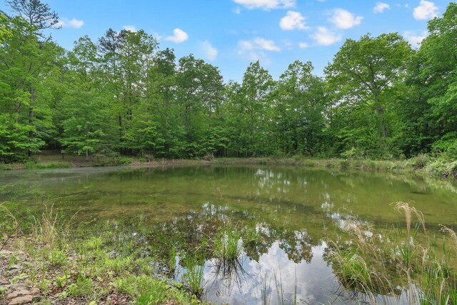 0 Savage Highland Dr, Coalmont, TN 37313