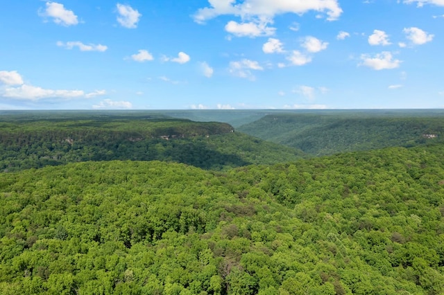 0 Savage Highland Dr, Coalmont, TN 37313