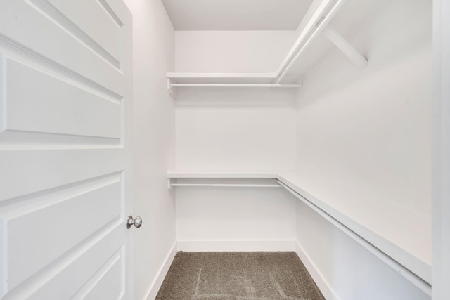 525B Stevenson St, Nashville, TN 37209 - spacious closet featuring carpet
