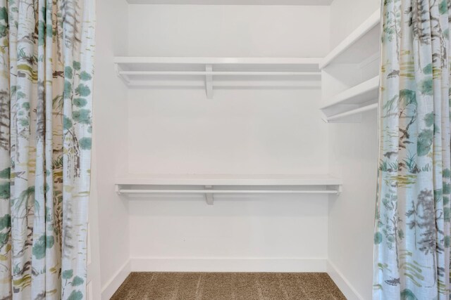 525B Stevenson St, Nashville, TN 37209 - spacious closet featuring carpet