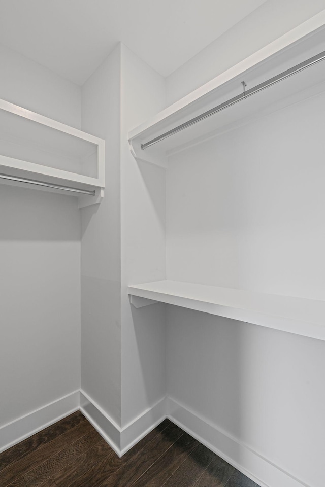 walk in closet featuring dark wood-type flooring