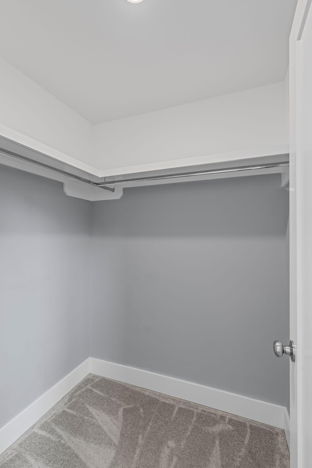 walk in closet with carpet