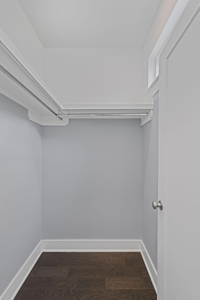 spacious closet featuring dark wood-style flooring