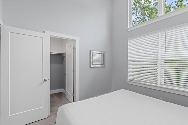 bedroom with carpet, a spacious closet, a closet, and baseboards