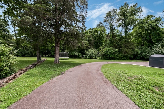 642 Brook Hollow Rd, Nashville, TN 37205 - photo 5
