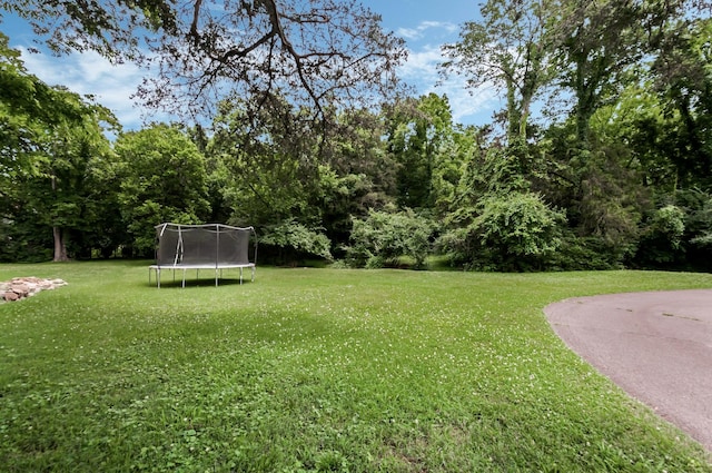 642 Brook Hollow Rd, Nashville, TN 37205 - photo 52